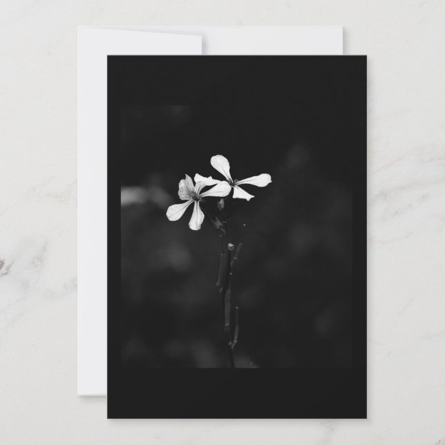 Cartão De Agradecimento floral preto e branco mínimo (Frente)