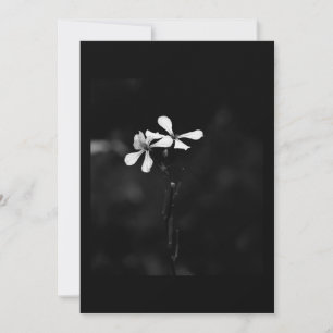 Cartão De Agradecimento floral preto e branco mínimo