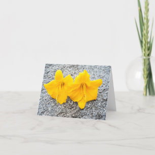 Cartão De Agradecimento flores amarelas diurnas na flor do cheio 