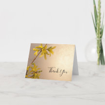 Flores Amarelas Primavera Forsythia Simpatia Funer