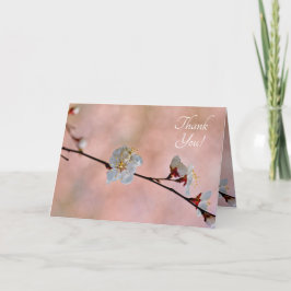 Cartão De Agradecimento Flores Apricot Japonesas Atrativas