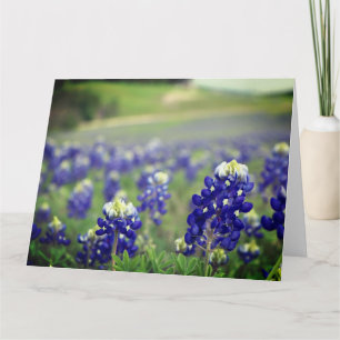Cartão De Agradecimento Flores Azuis do Texas Texan Floral