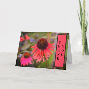 Cartão De Agradecimento Flores de Cone Vermelho Echinacea Obrigado