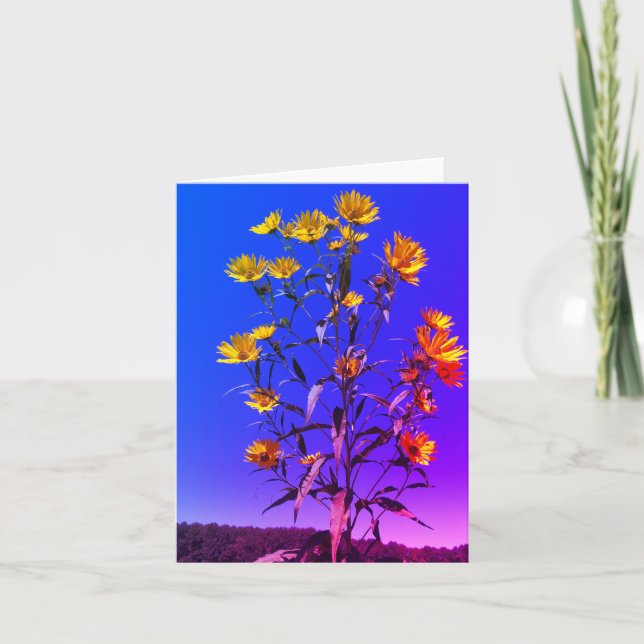 Cartão De Agradecimento Flores de Verão (Frente)