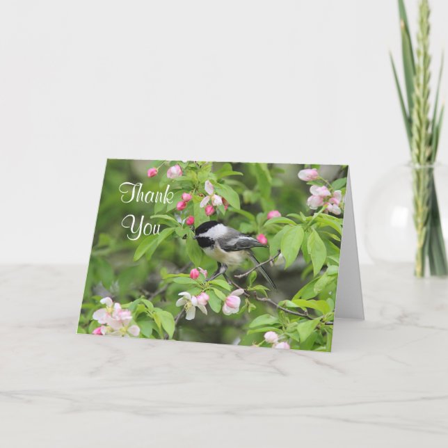 Cartão De Agradecimento Flores do Chickadee e do primavera (Frente)