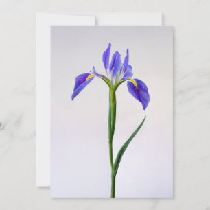 Cartão De Agradecimento Flores Flor Roxo-Íris