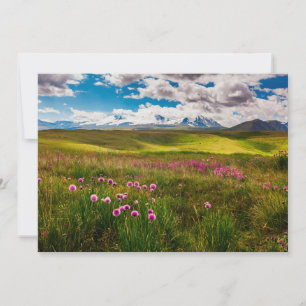 Cartão De Agradecimento Flores   Montanhas Altai, Sibéria, Rússia