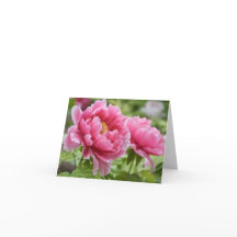 Flores Peônias Rosa Floral Branco