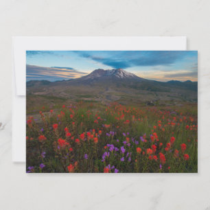 Cartão De Agradecimento Flores Pincel-da-índia