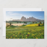 Flores | Primavera Alpe di Siusi Langkofel