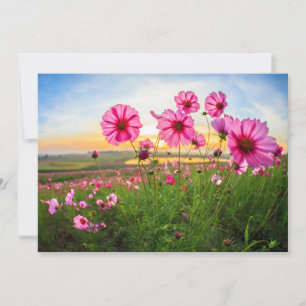 Cartão De Agradecimento Flores  Província de Chiang Rai, Tailândia