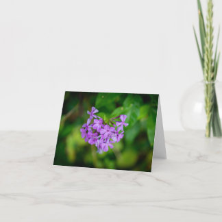 Cartão De Agradecimento Flores silvestres