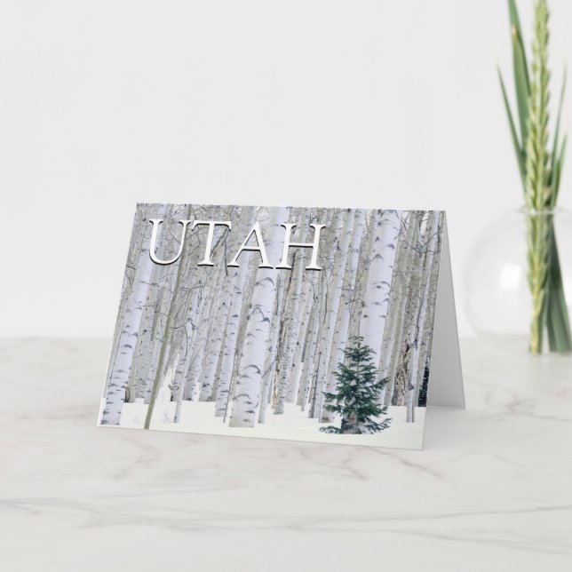 Cartão De Agradecimento Floresta Nacional Manti-LaSal, Utah | Obrigado (Frente)