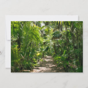 Cartão De Agradecimento Florestas Túlio Tropical Floresta Tropical Méxic