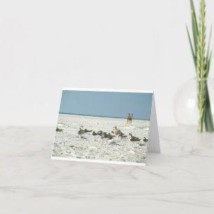 Cartão De Agradecimento Florida Beach com fotografias de arte com gaivotas