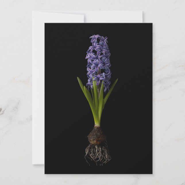 Cartão De Agradecimento Flowers | Purple Hyacinth Bulb (Frente)
