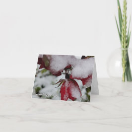 Cartão De Agradecimento Folded Season's Greetings Card