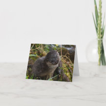 Folded Thank You Card