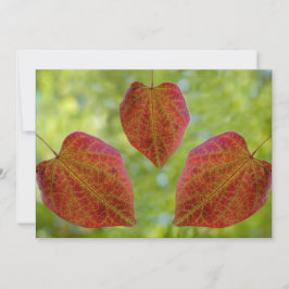 Cartão De Agradecimento Folhas de Amor da Natureza