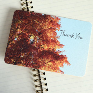 Cartão De Agradecimento Folhas do Autumn Maple