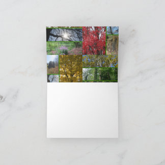 Cartão De Agradecimento Forest/Trees Collage