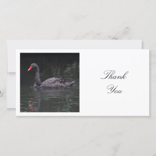 Cartão De Agradecimento Foto ao quadrado - Cisne preto