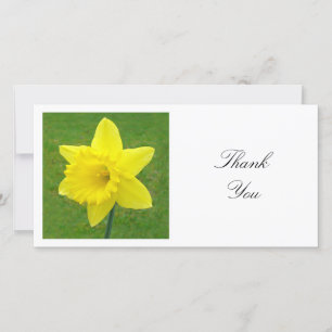 Cartão De Agradecimento Foto ao quadrado - Daffodil