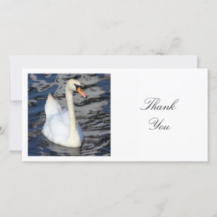 Cartão De Agradecimento Foto ao quadrado - Swan