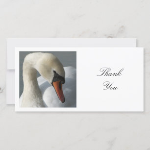 Cartão De Agradecimento Foto ao quadrado - Swan