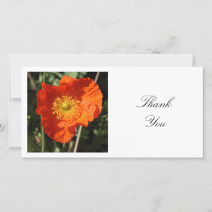 Cartão De Agradecimento Foto ao quadrado - Welsh Poppy