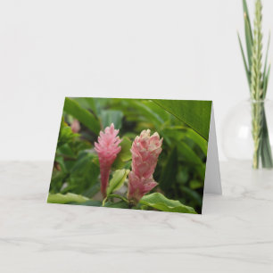 Cartão De Agradecimento Foto da Flor de Gengibre Rosa Havaiano