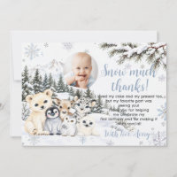 Foto de Aniversário de Inverno Onederland Animais