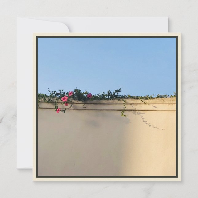 Cartão De Agradecimento Foto de momento calmo (Frente)