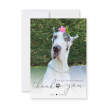 Foto de Pet Care Veterinária Personalizada