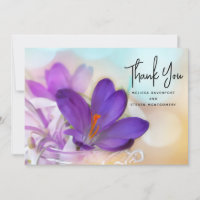 Foto de um Bonito Primavera-Crocus Roxo