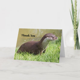 Cartão De Agradecimento Foto de Vida Selvagem de Grass Otter