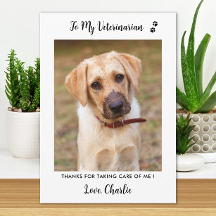 Cartão De Agradecimento Foto Personalizada De Cão De Pet Veterinária Veter