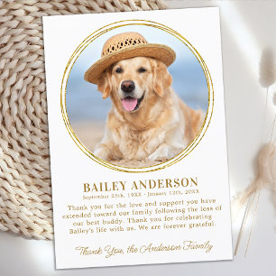Cartão De Agradecimento Foto Personalizada do Pet Memorial Simpatia Dourad