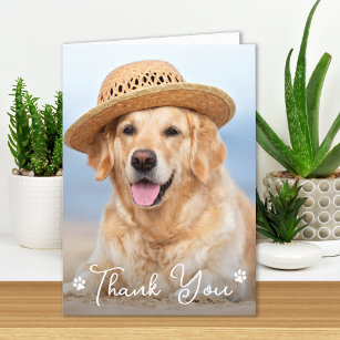 Cartão De Agradecimento Foto simples personalizada de Pet de Cão Vet Tech 