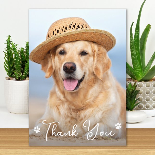 Cartão De Agradecimento Foto simples personalizada de Pet de Cão Vet Tech  (Criador carregado)