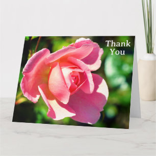 Cartão De Agradecimento Fotografia do Rosa do Solteiro rosa