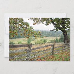Cartão De Agradecimento Fronteira Antiga Em Uma Fazenda