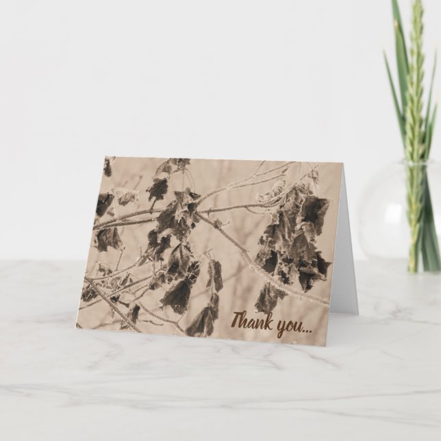 Cartão De Agradecimento Frost de inverno sobre as folhas da Sepia (Frente)