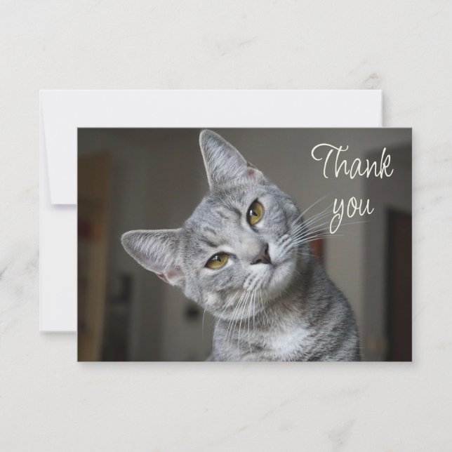 Cartão De Agradecimento Fun Cute Kitten Cat Thank You (Frente)