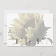 Fundição De Girassol Obrigado