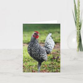 Cartão De Agradecimento Galeria, placa de Vazio