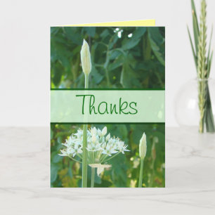 Cartão De Agradecimento Garlic Chives Banner card-customize any occasion