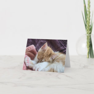 Cartão De Agradecimento Gatinho Adormecido