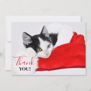 Cartão De Agradecimento Gatinho bonito no chapéu do papai noel