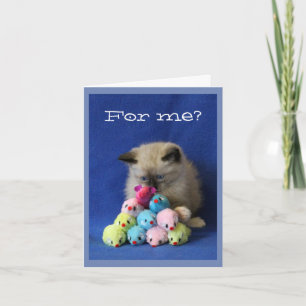 Cartão De Agradecimento Gatinho Cruz-Eyed com ratos do brinquedo